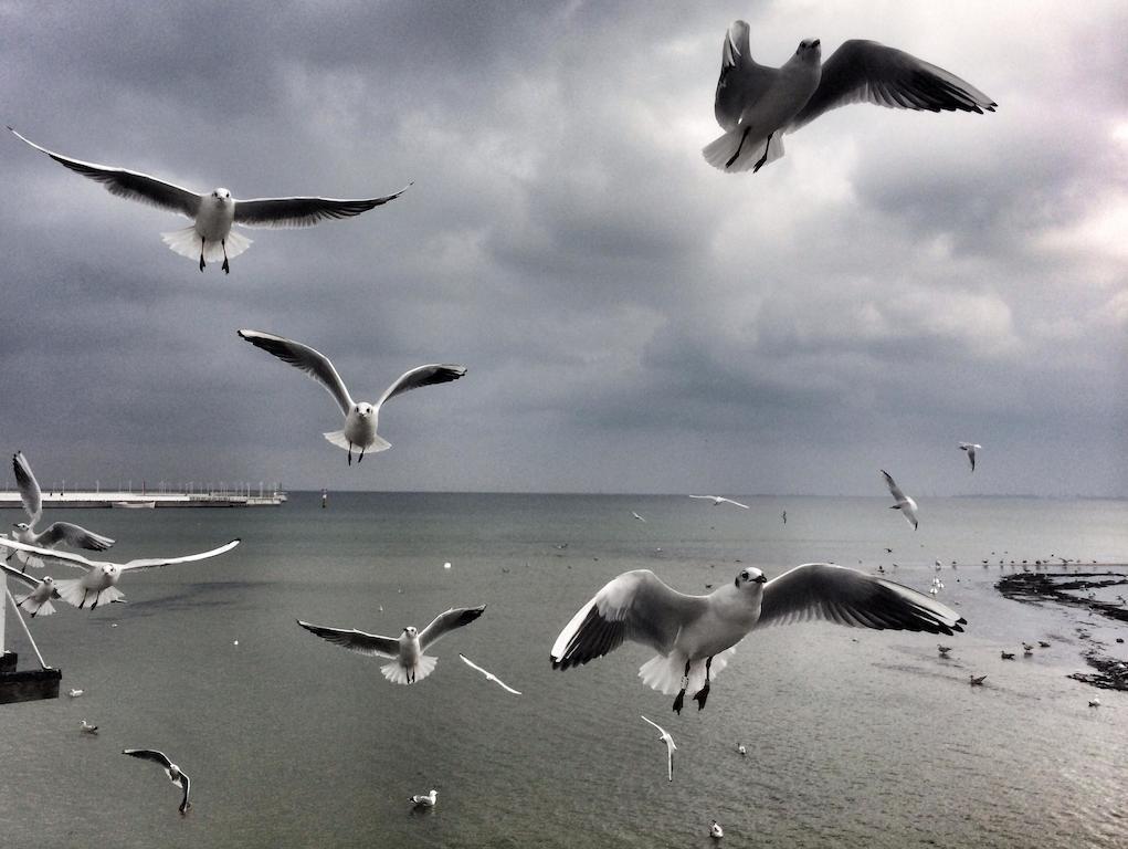 Panorama Apartment - Happy Hours Sopot Quarto foto